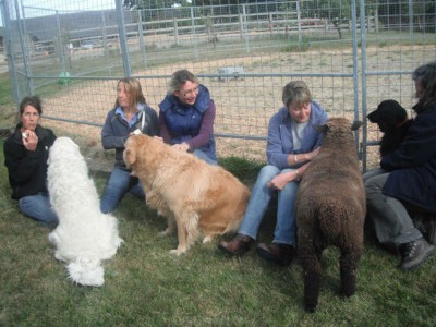 Attendees interacting with the animals