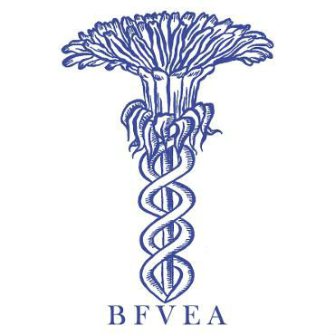 SQUARE_BFVEA_Logo_BLUE.jpg.opt370x370o0,0s370x370