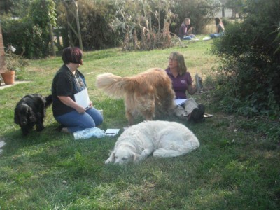 Students on Animal communication workshop